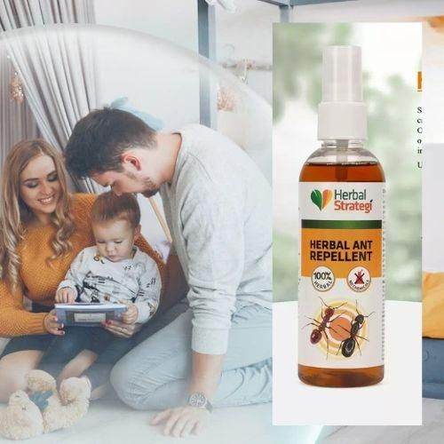 HERBAL STRATEGI Ant Repellent Spray Non-Toxic 100% Herbal Stain Free (100 ml) - NARIX INDIA