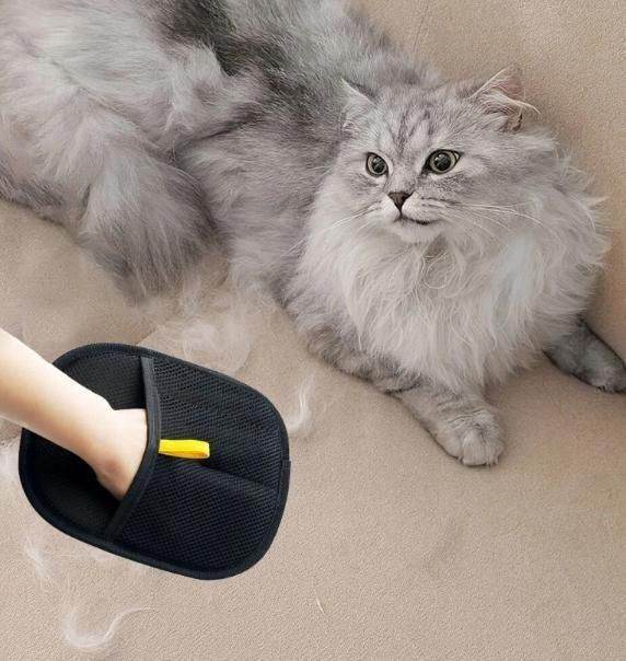 Pet Hair Removal Gloves - NARIX INDIA