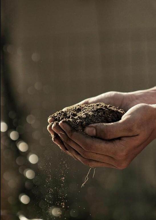 Organic Vermicompost 500gm - NARIX INDIA 