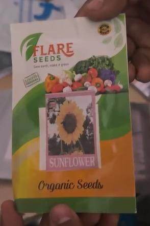 40 Pcs Sunflower Organic Seeds Pack of 2 - NARIX INDIA 