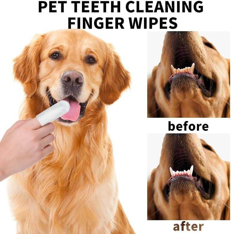 Disposable Dental Finger Wipes For Pets - NARIX INDIA 