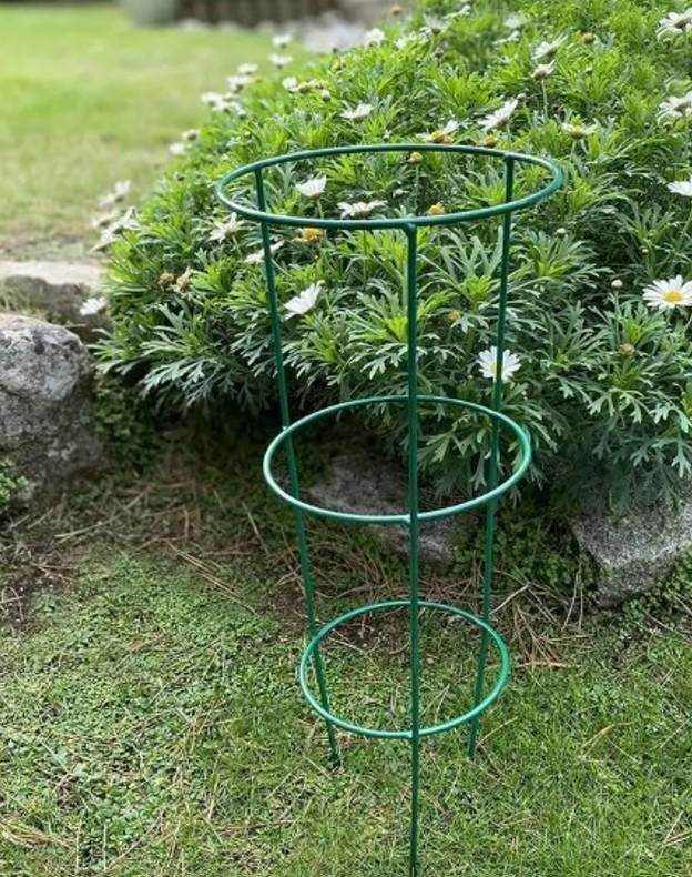 3 Layer Plant Support Cage - NARIX INDIA 