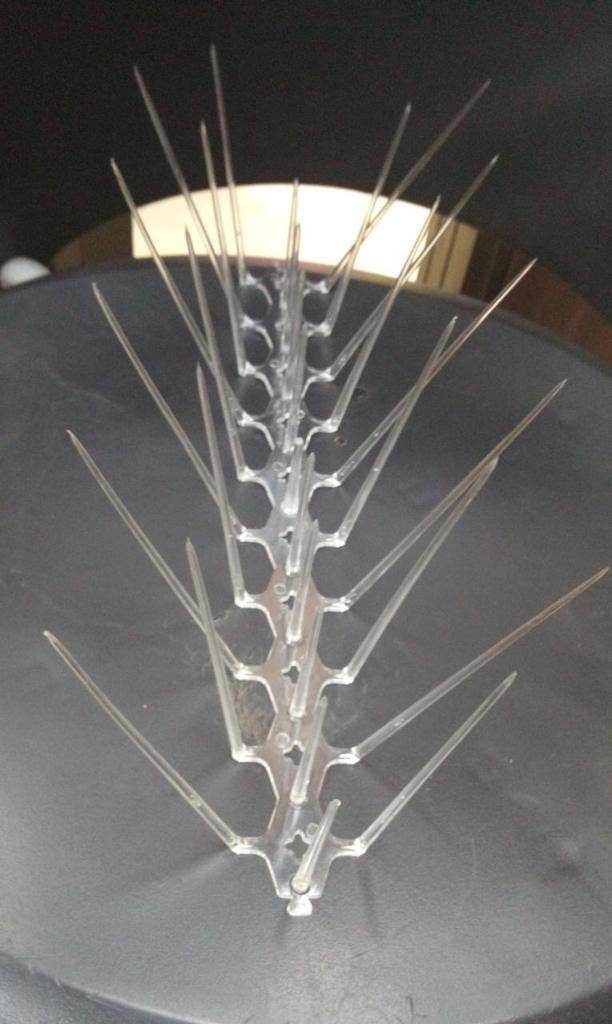Pigeon Control Spikes (Set of 10) - NARIX INDIA 