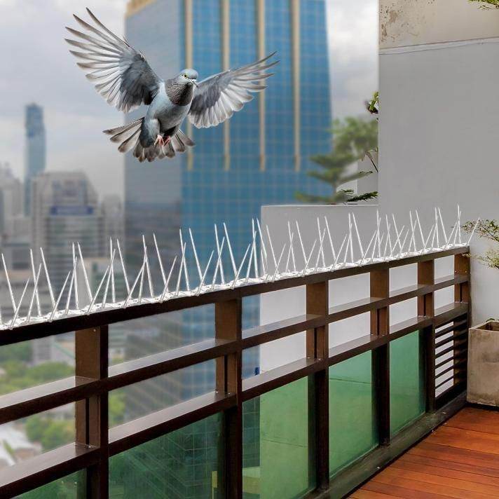 Pigeon Control Spikes (Set of 10) - NARIX INDIA 