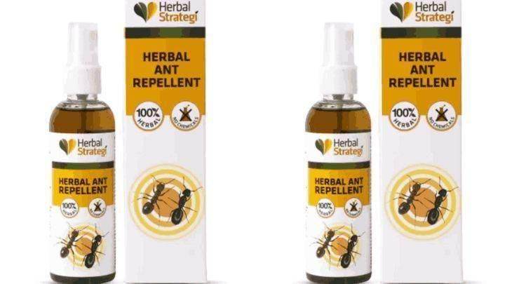 HERBAL STRATEGI Ant Repellent Spray Non-Toxic 100% Herbal Stain Free (100 ml) (Pack of 2) - NARIX INDIA 