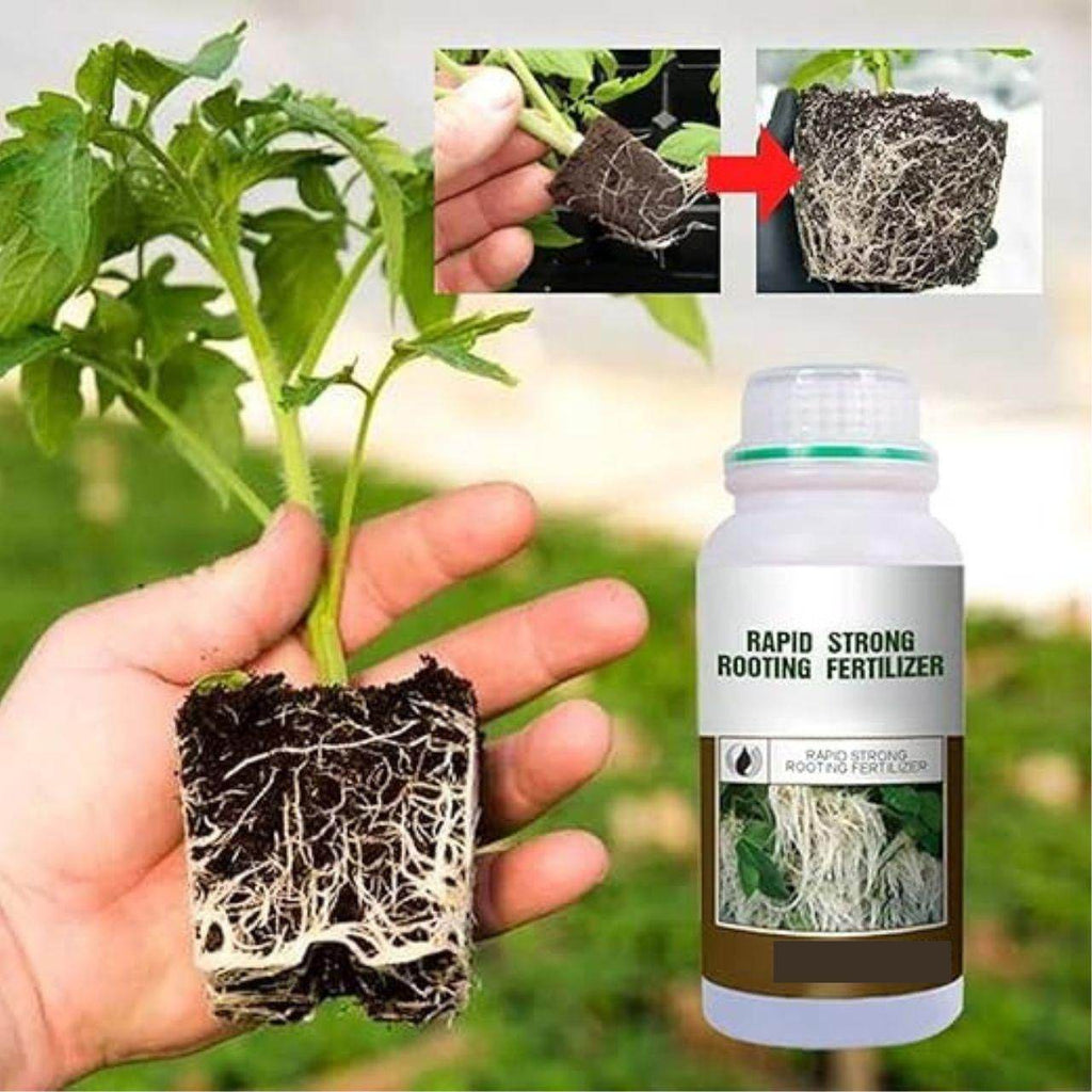 Rapid Strong Rooting Fertilizer 200 gm Pack of 2 - NARIX INDIA 