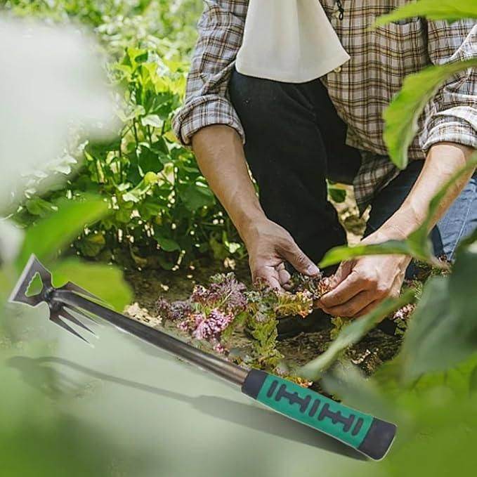 2 in 1 Weeder & Shovel Tool - NARIX INDIA 