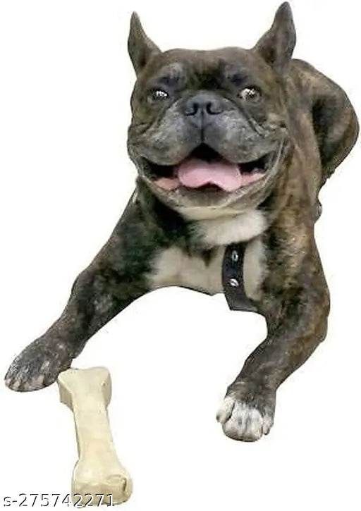 Bone for Dogs Chew Rawhide | Pet Food Supplier Press Bone Calcium Treat Healthy & Twisted Chicken Dog Chew (250 gm) - NARIX INDIA 