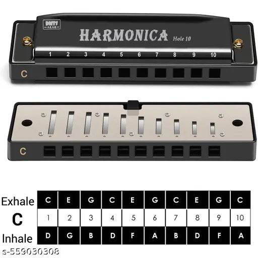 MOUTH ORGAN/HARMONICA 10 HOLES (KEY OF C) WITH PLASTIC CASE FOR MUSIC LOVERS (BLACK) - NARIX INDIA 