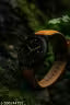 Trendy Black Dial Watch for Men – Casual & Formal Leather Strap - NARIX INDIA 
